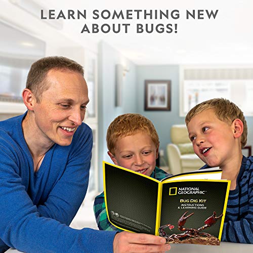 National Geographic Real Bug Dig Kit - Discover and Learn about Insects
