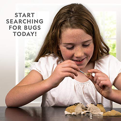 National Geographic Real Bug Dig Kit - Discover and Learn about Insect ...