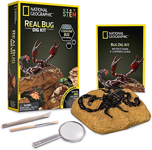 National Geographic Real Bug Dig Kit - Discover and Learn about Insects