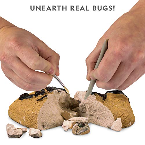 National Geographic Real Bug Dig Kit - Discover and Learn about Insects