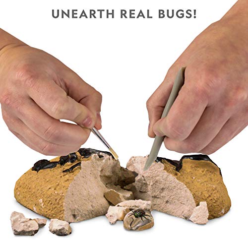 National Geographic Real Bug Dig Kit - Discover and Learn about Insect ...