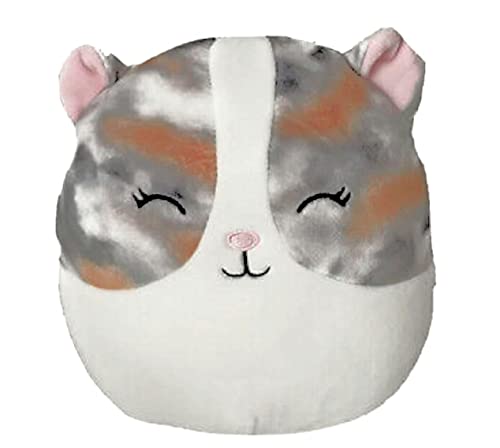 Squishmallows Pax the Hamster 19cm